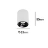 Oprawa natynkowa Tom biała LED CCT (LP-4848/1RM WH) - Light Prestige