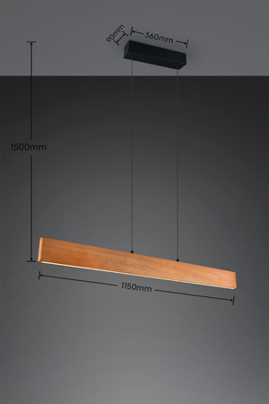 Nowoczesna lampa wisząca EDGEWOOD (359710130) - Trio