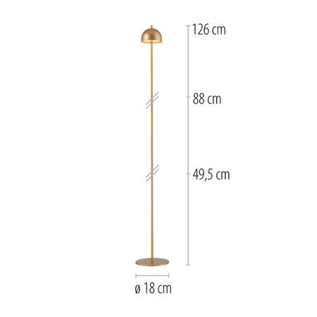 BELLIS LAMPA PODŁOGOWA ZŁOTA (19245-12) - Paul Neuhaus