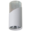 Lampa sufitowa NEO WHITE CHROME DOWNLIGHT 1xGU10 (ML0285) - Milagro