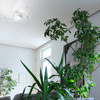 Lampa sufitowa CLOVER 4000K, 80 cm (0031.21 DIM N) - Vivida