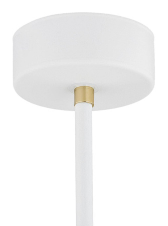 Lampa wisząca 1 pł. CHARLOTTE (4684) - Argon