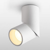 Oprawa nastropowa LED 24W kolor biały WW - Podwójna CRI 90+ (ABIGALI-ONBL12WW-2)