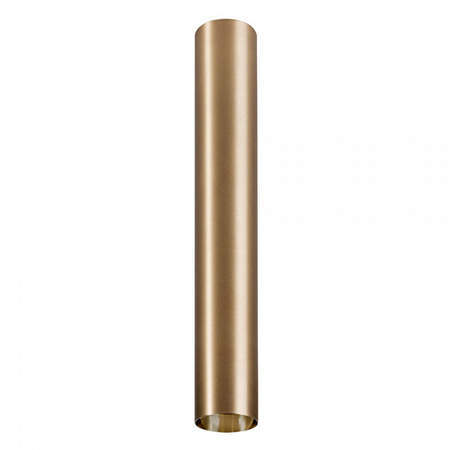 Klosz CAMELEON EYE L BS (8484) - Nowodvorski