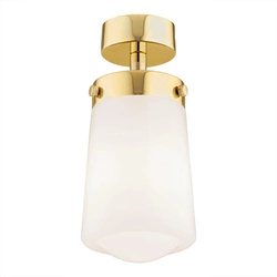 Plafon 1 pł. PASADENA (8005) - Argon