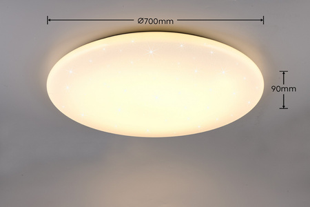 NANDO (R65941101) - RL