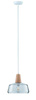 Neordic Yva Lampa wisząca max. 1x20W E27 230V Szkło/Drewno (PL79744) - PAULMANN