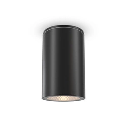 Lampa sufitowa Roll (O307CL-01B) - Maytoni