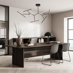 CEILING LIGHT 68W 3000K ALUMINUM & SILICON DIMMABLE SANDY BLACK+GOLD (2072 Zambelis) - Zambelis