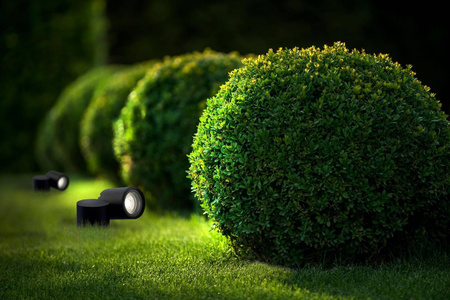 TUBINGS M (8161) - Nowodvorski