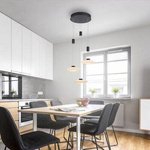 Lampa wisząca LAUTADA (2082-18) - Paul Neuhaus