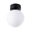 Lampa sufitowa GOVE LED czarny matowy (PL71072) - PAULMANN