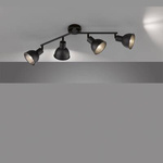 Lampa Sufitowa Speedy (21248) - Fischer&Honsel