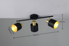 Lampa sufitowa z reflektorami EVA (868800380) - Trio
