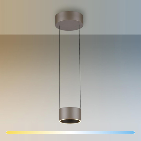 PURE CLIPSE LAMPA WISZĄCA BRĄZOWA (2471-97) - Paul Neuhaus