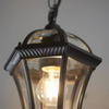 Lampa Wisząca Zewnętrzna Drayton (YG-3503) Endon