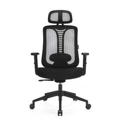 Ergonomiczny fotel z regulacją Ergo Essential (LV0653) - LVN SYSTEM