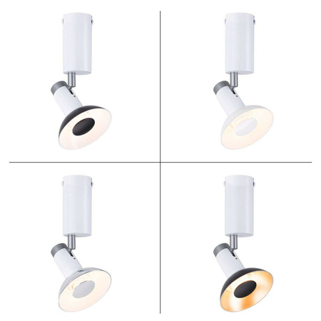 Reflektor RUNA GU10 max.1x20W biały/szary 230V metal (PL79523) - PAULMANN