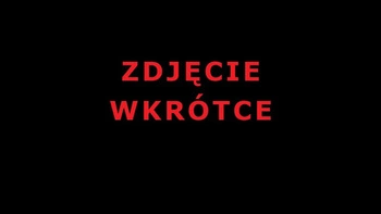 Oprawa elewacyjna ALARA LED SH Zigbee10W 450lm 2200K-3000K czujnik ruchu i zmierzchu IP44 230V antracyt / aluminium (PL94791) - PAULMANN