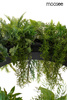 MOOSEE lampa wisząca GARDENS 50 czarna (MSE1501100557) - Moosee