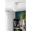 PLAAT C różowa lampa ścienna / kinkiet z podwyższoną szczelnością IP44 (PLC180S0) - Ummo