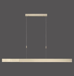 PURE-MOTO LAMPA WISZĄCA MATOWY MOSIĄDZ (2525-60) - Paul Neuhaus