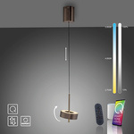 Lampa sterowana Smart Q-ROTATE CIEMNOMETALOWO-BRĄZOWY (2247-34) - Paul Neuhaus