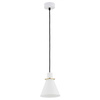 Lampa wisząca 1 pł. BEVERLY (4680) - Argon