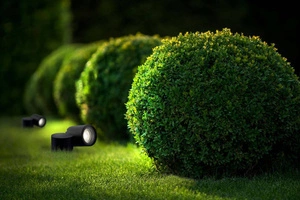 TUBINGS M (8161) - Nowodvorski