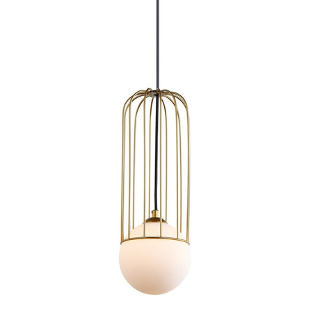 Lampa Wisząca Simon (MDM-3938/1 GD) - Italux