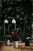 Lampa podłogowa BOTANICA XL (40848101) - Kaspa