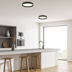 CEILING LIGHT 20W 3000K BLACK (22128 Zambelis) - Zambelis
