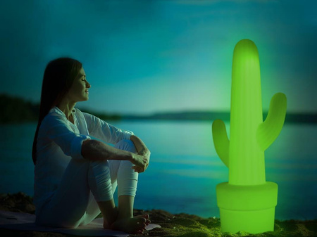 NEW GARDEN lampa ogrodowa KAKTUS CABLE limonkowa (LUMKL100OFNW) - New Garden