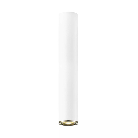 LOYA LAMPA SUFITOWA (C0461-01C-A0SB) - Zuma Line