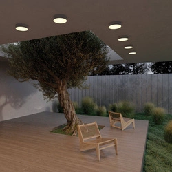 Lampa sufitowa Zon IP 65 (O431CL-L30B3K) - Maytoni