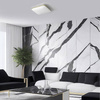Plafon DABAR 17W LED (ML0253) - Eko-Light