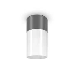 Lampa sufitowa Willis (O418CL-01GR) - Maytoni