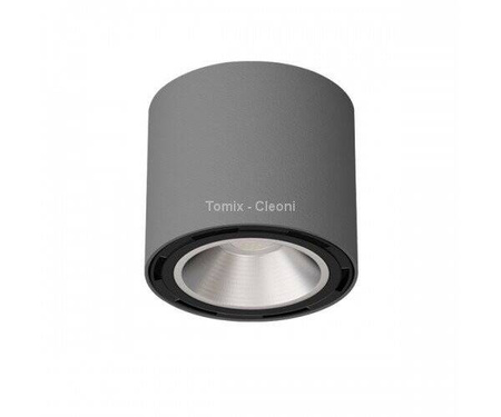 Plafon TITO kol. SREBRNY MAT ( T113B1101) Cleoni