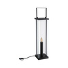 Oprawa ogrodowa Plug & Shine LATARNIA 695mm 2W 1900K IP44 24V antracyt / metal (PL94317) - PAULMANN