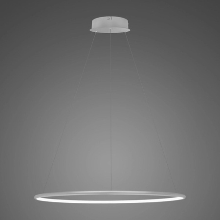 Lampa wisząca Ledowe Okręgi No.1 60 4k srebrna Dali (LA073/P_60_in_4k_silver_Dali) - ALTAVOLA DESIGN
