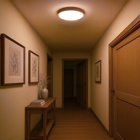 Plafon ORINOKO 36W LED Ø480 (ML1840) - Milagro