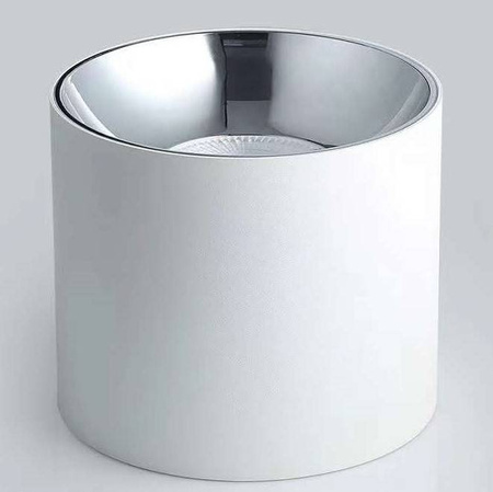 Oprawa nastropowa Spot Vaiolett 10W NW biały (Abigali-DL10W-NW)
