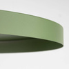 SILA GREEN PEAPOD 1XE27 LAMPA WISZĄCA 400 (10762) - TK Lighting