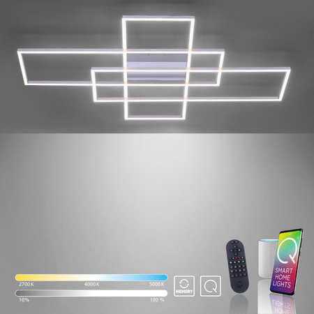 Q-INIGO LAMPA SUFITOWA STALOWY (8195-55) - Paul Neuhaus