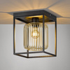 Lampa Sufitowa Caydo  (21294) - Fischer&Honsel