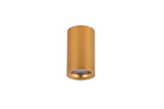 Lampa Sufitowa EIGER IP54 GO (AZ5239) - Azzardo