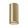 Lampa sufitowa Focus (C010CL-01MG) - Maytoni