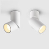 Oprawa nastropowa LED 24W kolor biały WW - Podwójna CRI 90+ (ABIGALI-ONBL12WW-2)