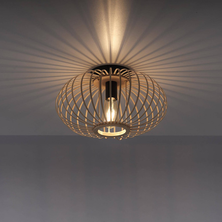 Lampa sufitowa RACOON (11410-79) - Paul Neuhaus