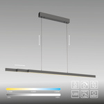 Rozsuwana i regulowana lampa wisząca ADRIANA COMFORT LIFT ANTRACYT (2598-13) - Paul Neuhaus